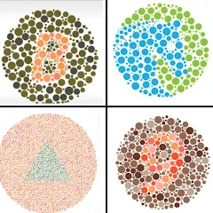Color Blind Test