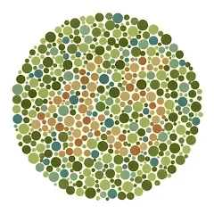 Color Blind Test